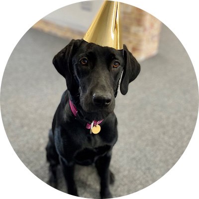 Harley - Team Morale Leader