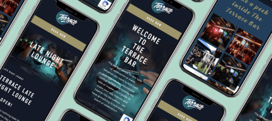 The Terrace Bar - Web Design Services - Loop Digital