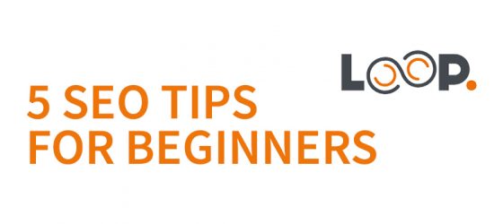 5 SEO Tips For Beginners banner image - featured image