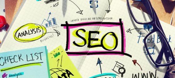 SEO Highlight January 2025