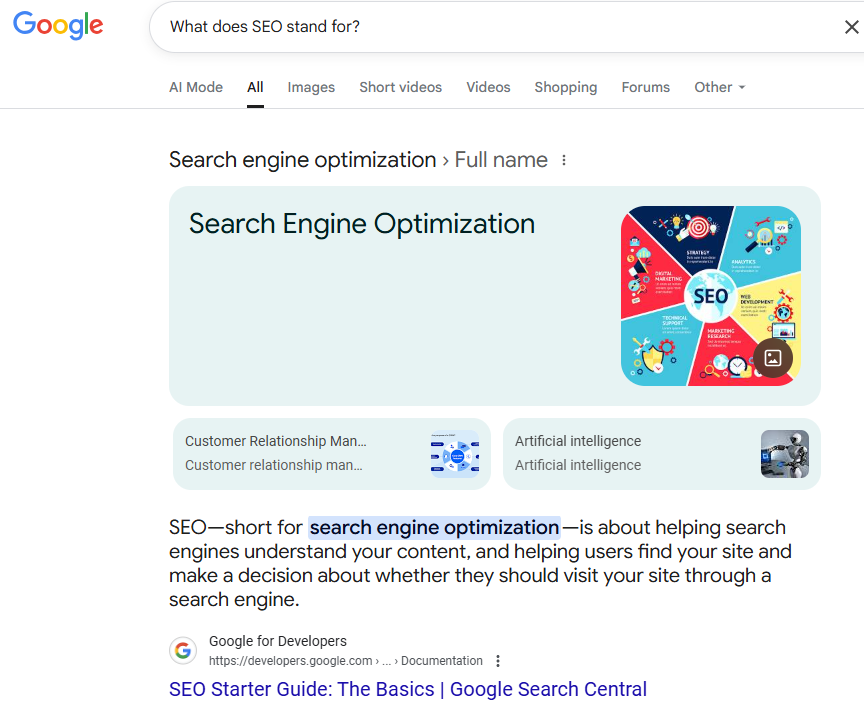 SEO full form in Google search