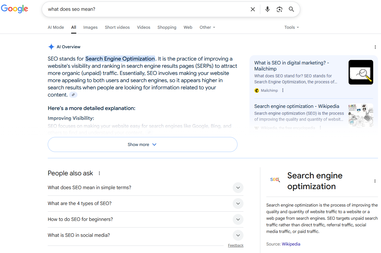 SEO meaning in Google AI Overview