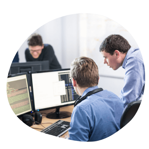 IT Sector employees working on a project