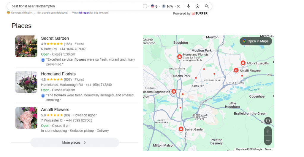 Importance of AI overviews