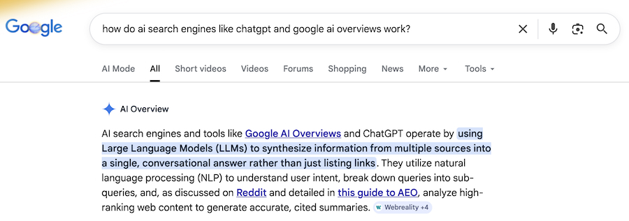 Google AI results